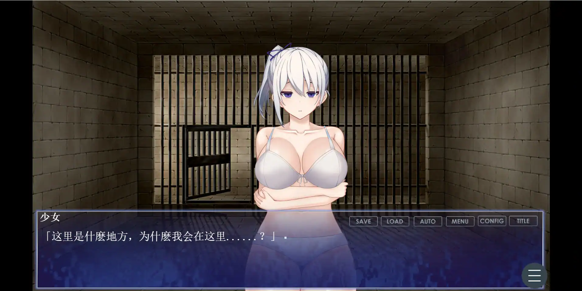 【日系ADV/官中/少女】调教师与终将成为奴隶的少女 官方中文版【PC/0.6G】 封面图 2
